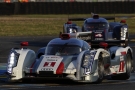 World Endurance Championship