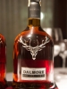 Lanamento  Dalmore 