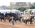 34 Semana Nacional do Cavalo Campolina