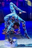 CIRQUE FRICA CHEGA AO BRASIL