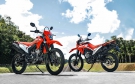 Honda XR 300L Tornado 2025